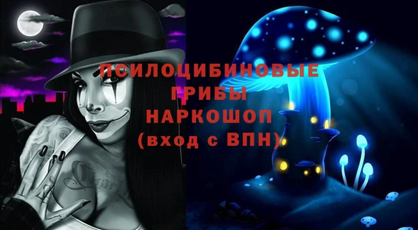 соль ск Алзамай