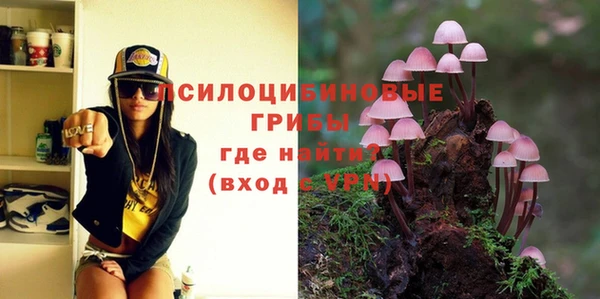 дурь Алексеевка